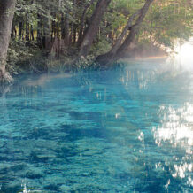 Ginnie Springs