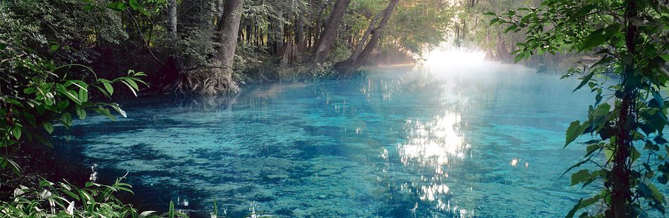 Ginnie Springs