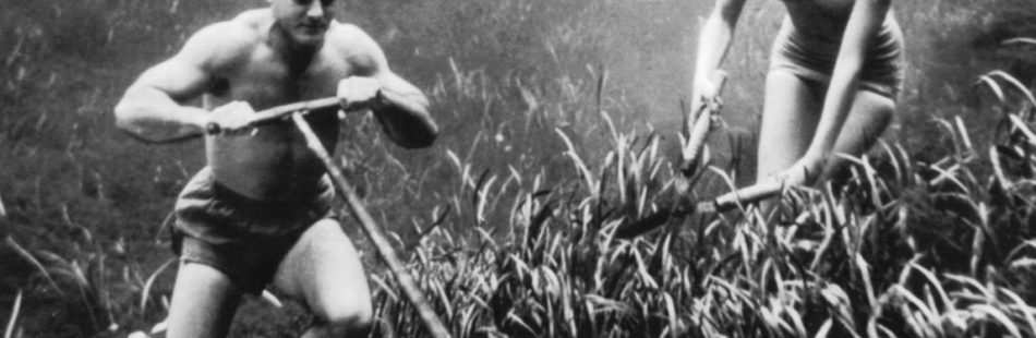 caring for your spring