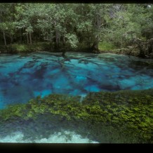 Beauty Springs Photo by Wes Skiles