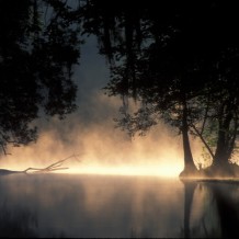 Cold Morning, Ginnie Springs Photo by Wes Skiles