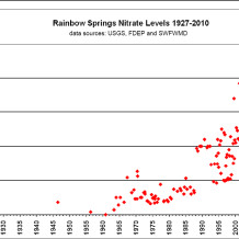 Rainbow Springs Nitrate and Nitrite Concentrations (1)