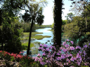 Rainbow-River-Overlook