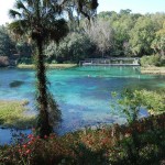 Rainbow Springs Headwaters