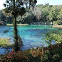 Rainbow Springs