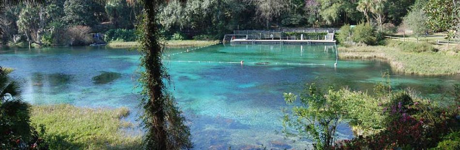 Rainbow Springs