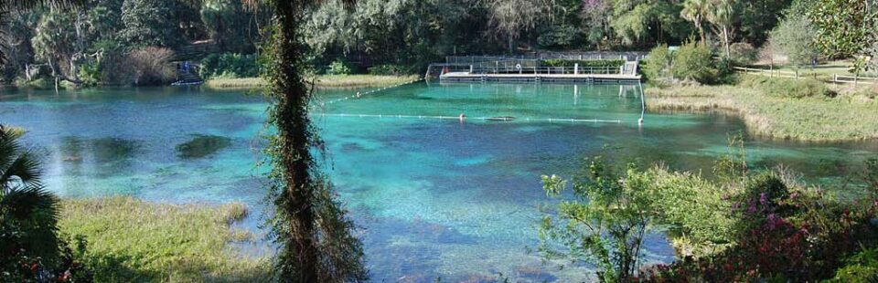 Rainbow Springs