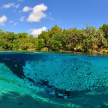 Silver Glen Spring, Photo by Mark Long