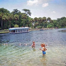 Swimming in Silver Springs, 2000