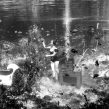 Mermaid at  Rainbow Springs