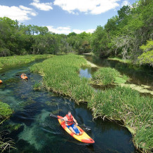 ichetucknee colorful kayaks.moran.sRGB