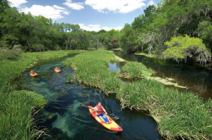 ichetucknee colorful kayaks.moran.sRGB