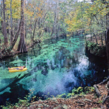 Ichetucknee Springs