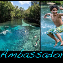 Springs Ambassadors Camp