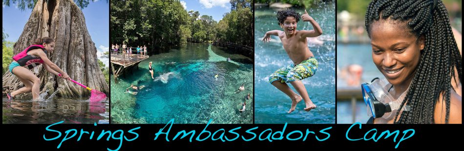 Springs Ambassadors Camp