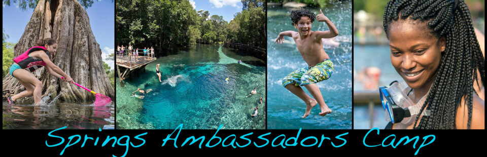 Springs Ambassadors Camp