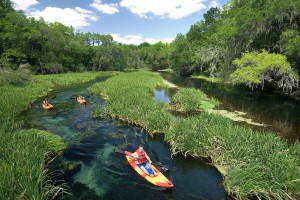 ichetucknee-colorful-kayaks.moran_.sRGB_ copy 2