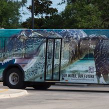 Urban Aquifer:  Vehicles to Think With