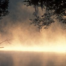 groups, research, education, public policy