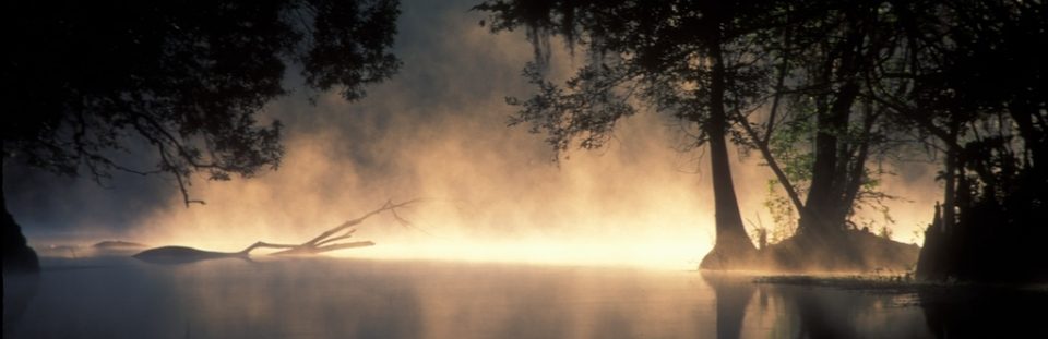 groups, research, education, public policy