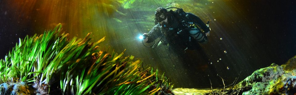 know your springshed