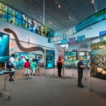 Springs Eternal: Florida’s Fragile Fountains of Youth