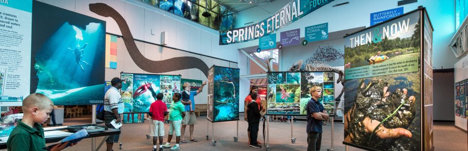 Springs Eternal: Florida’s Fragile Fountains of Youth