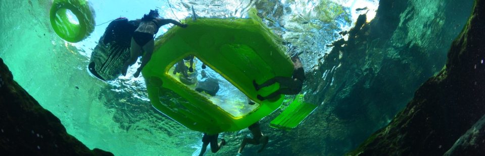 why you love this spring