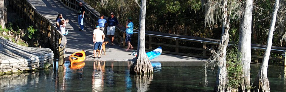 caring for your spring