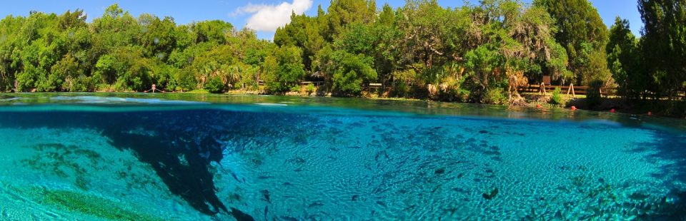 why we love this spring