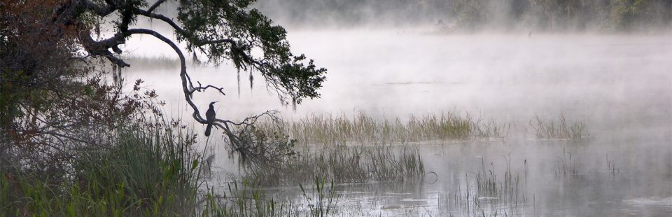 groups, organizations and resources