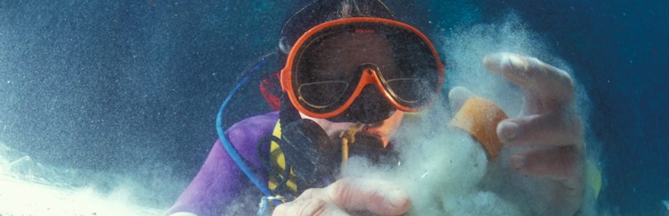 about your moderator