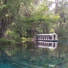 Silver Springs
