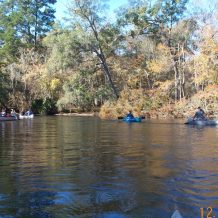 about your moderator