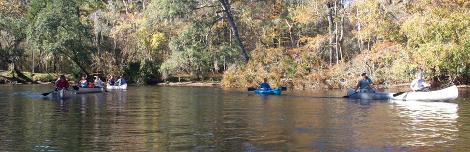 about your moderator