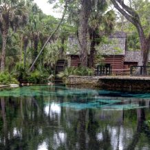 Juniper Springs