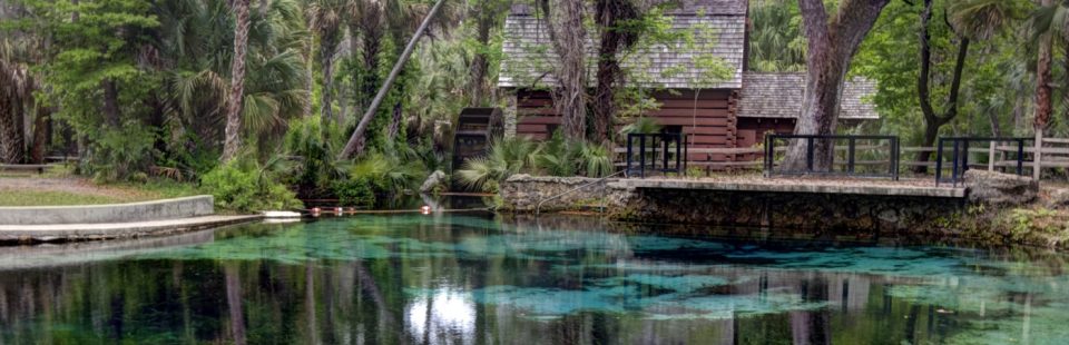 Juniper Springs
